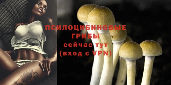эйфоретик Медногорск