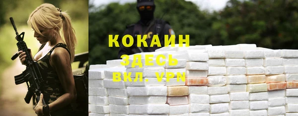 меф Мегион