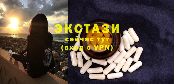 мет Ельня