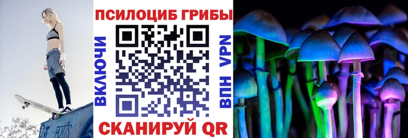 даркнет формула  Дубовка  Псилоцибиновые грибы MAGIC MUSHROOMS  купить наркоту 