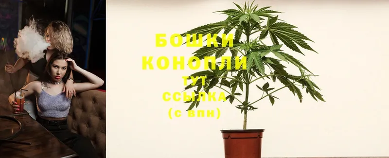 купить наркоту  Дубовка  МАРИХУАНА White Widow 